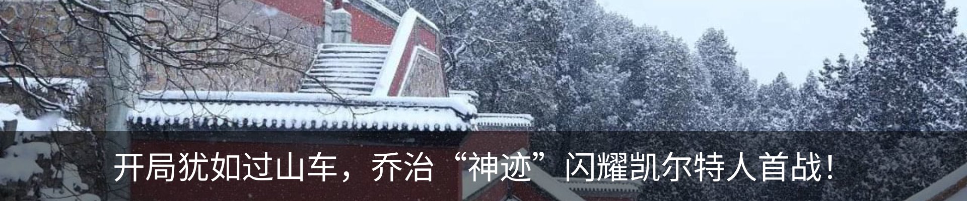 最新动态
